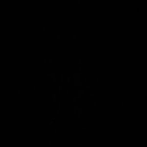 Meet your Posher, Maya